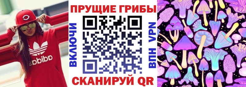 Купить Старый Оскол Галлюциногенные грибы Psilocybe